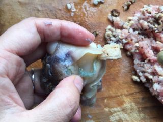 葱油海螺,再割开海螺肚子，把这条东西也给清理了