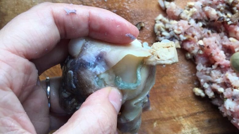 葱油海螺,再割开海螺肚子，把这条东西也给清理了
