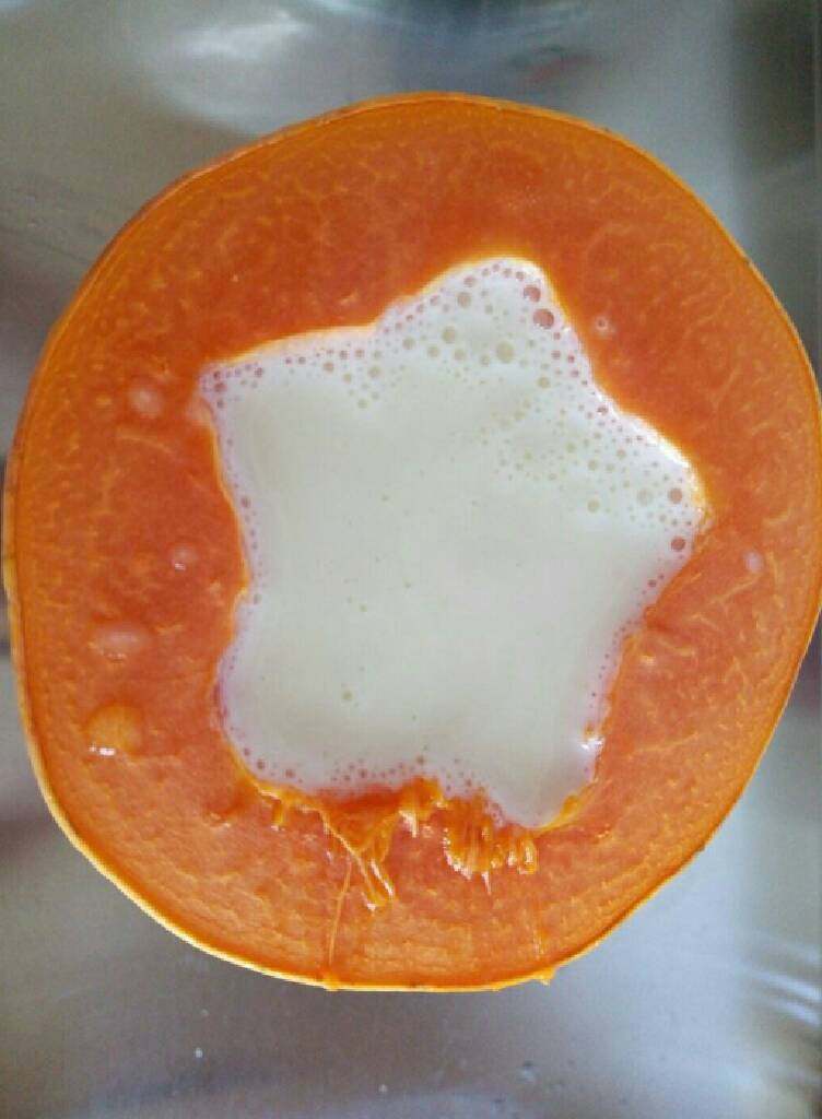木瓜牛奶冻