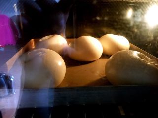 贝果贝果,整形好的贝果放在烤箱里加碗温水发酵，不要过于湿润，稍微有点水汽不至于表面太干就行，不用盖湿布，太湿了后面会皱皮的，30度左右发大约半个小时左右就行