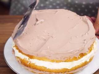 提拉米苏蛋糕,依次盖上剩下的蛋糕，刷咖啡酒，抹上可可味和原味的芝士奶油