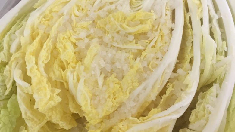 韩国泡菜,大白菜放粗盐腌12小时，每块叶子都确保沾上盐，然后用重物压着