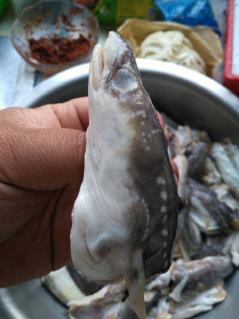 炖鳝鱼