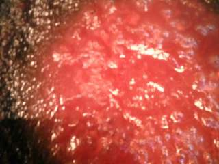 自制番茄酱,烧到番茄汁变粘稠没水份就好了