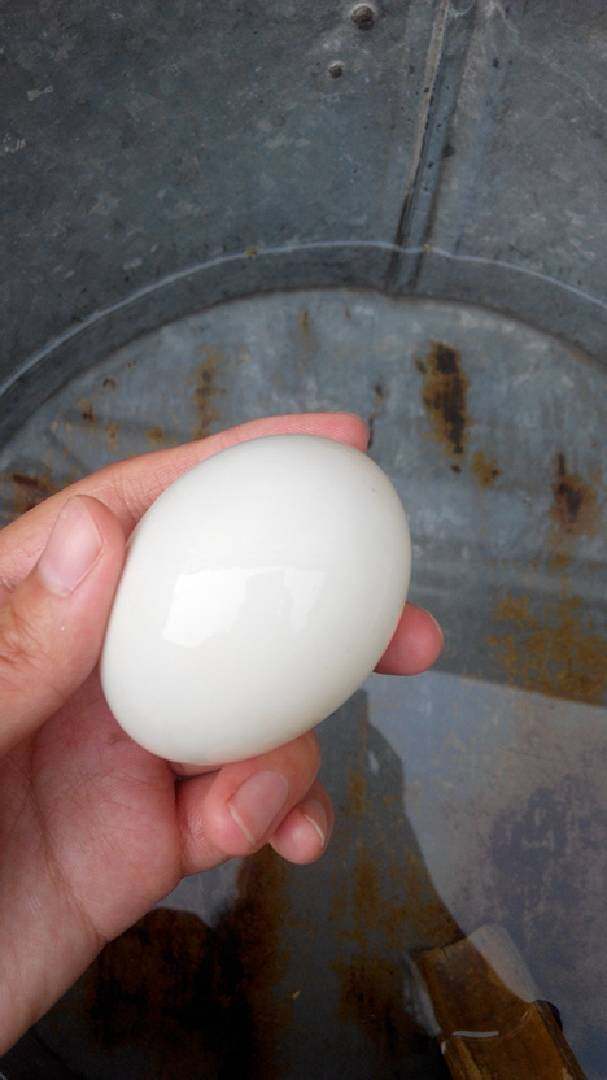 腌流油咸鸭蛋,制作时将鸭蛋清洗干净～时间充裕的话让鸭蛋晒晒太阳～有助于后期出油～