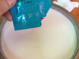 自制酸奶,1g乳酸菌倒入牛奶中搅拌均匀