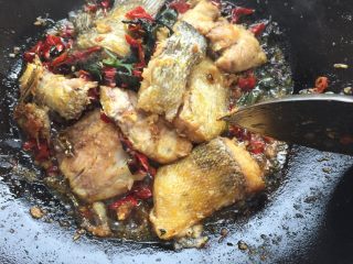 紫苏蒸鱼,煮鱼时 先在油锅里将红椒和紫苏进行翻炒 
然后把炸好的鱼放进来 
放水煮大概三四分钟的时间