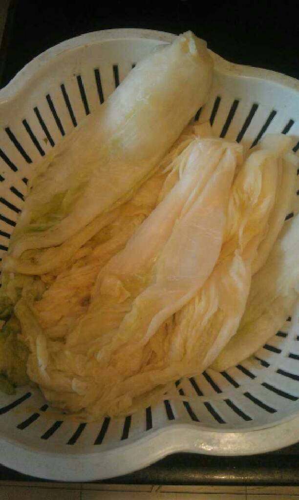 韩国泡菜,<a style='color:red;display:inline-block;' href='/shicai/ 113'>大白菜</a>洗净，切成4瓣，把每一片叶子均匀的抹上盐。腌制一个晚上。