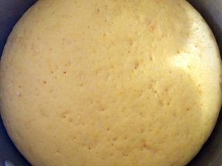 南瓜馒头,发酵好的面团，表明可以看到很多小孔