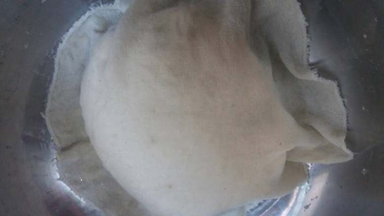 菜包子（萝卜豆腐）,揉成柔软的面团，盖上蒸笼布，醒发半个小时。在这之间多揉几次面团。