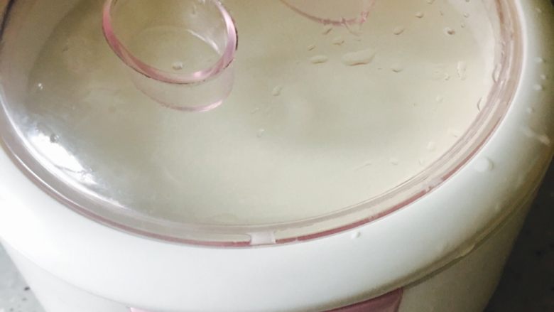 自制水果酸奶,放入发酵缸盖好盖，通电发酵8-12小时