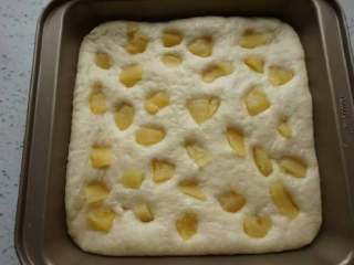 菠萝酥粒蛋糕,发至1.5倍大时，把菠萝块摆在面饼上，往下按一按。