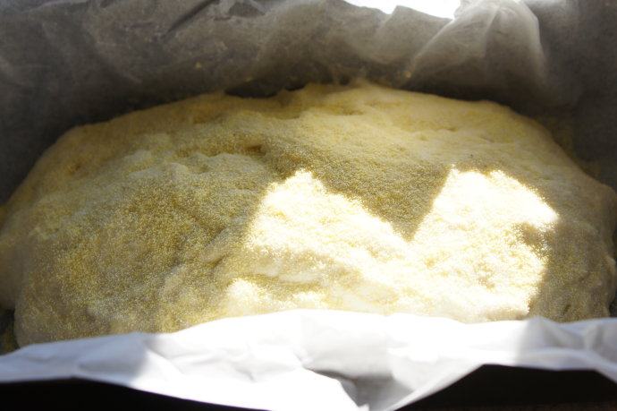 外脆里软——全程90分钟的免揉欧包,把面团分2份，倒入两个铺有烘培纸的面包烤盘里