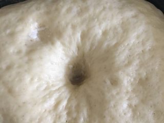 椰蓉面包,面团发酵至用手指蘸面粉插进去不回弹就是发好了