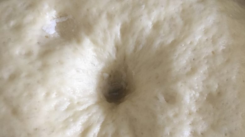 椰蓉面包,面团发酵至用手指蘸面粉插进去不回弹就是发好了
