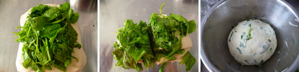 菠菜吐司~~清新健康的蔬菜吐司,摊开面团放上菠菜，用小刮板切开再糅合的方式把菠菜揉进面团中，揉匀滚圆后松弛25分钟。