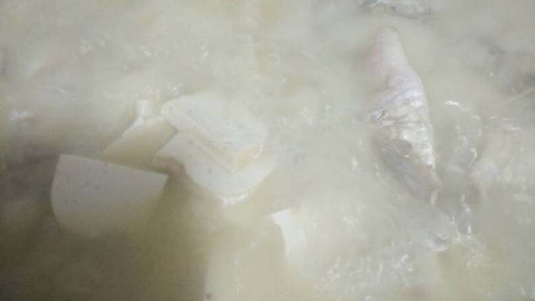 鲫鱼豆腐汤,⚠注意：期间千万不要掀锅盖，一定要等水开了再准备掀锅盖
这一部取决于汤的颜色白不白哟