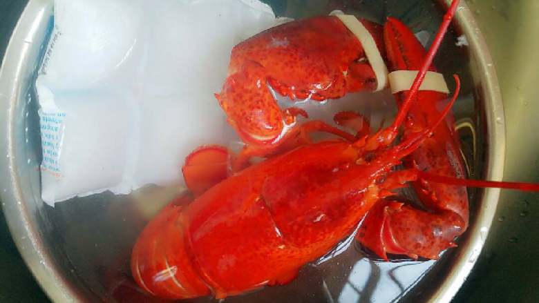芝士焗龙虾,煮好的龙虾立即放入冰水中，这样可以让虾肉更加紧致