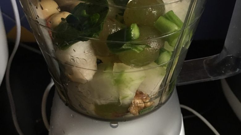 蔬果糊-13,把食材放在打糊機裡面，加入250ml約40度以下的溫水