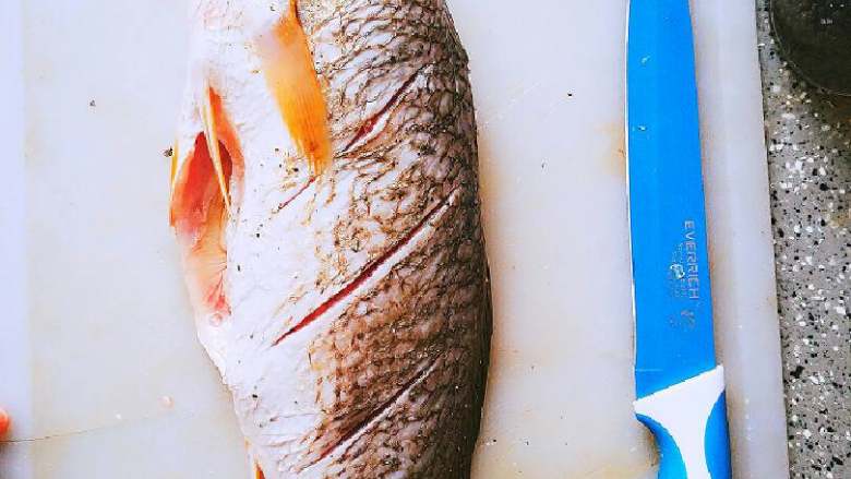红烧同罗鱼,收拾干净的鱼放在案板上用厨房纸巾沾去水份，抹上盐黑胡椒和少许油，这样煎的时候不会粘锅
