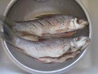 豆豉鲮鱼,鲮鱼放在洗菜蓝里在阴凉处吹干，大约一天的时间，到鱼肉微微紧实。