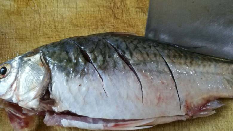 酒糟蒸鲫鱼,在鱼背上正反各划3刀，使鱼肉更加入味。