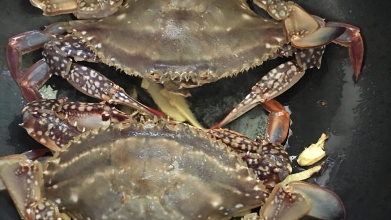 #年夜饭#香焖啤酒蟹,将洗净的螃蟹放入锅中。