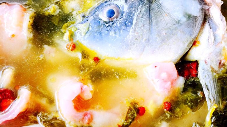 酸菜鱼🐠#王氏私房菜#,先把鱼头和鱼排放入锅中、加上调料包里的所有调料、大火烧开转小火炖10分钟