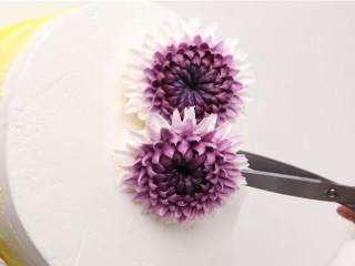 裱花蛋糕,用剪刀夹起做好的花摆放在蛋糕面上，摆放花的角度变化一下。