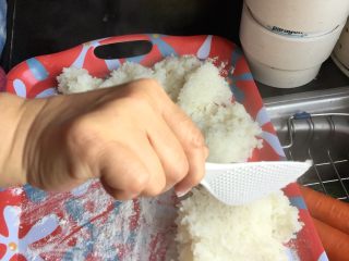 甜酒酿,铺设适量面粉后，将米饭取出晾凉至手触不烫。