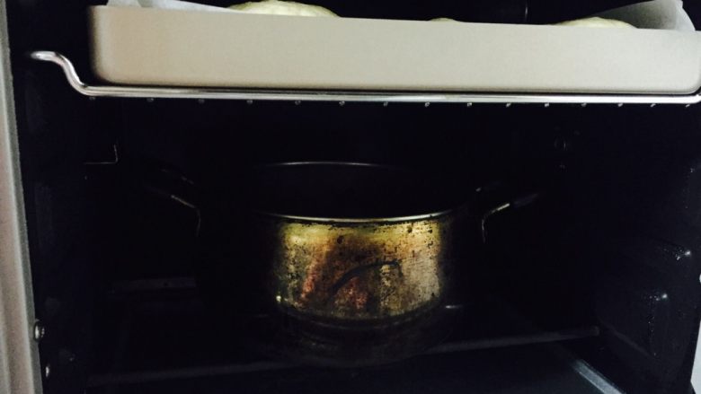 蔓越梅椰蓉包,放入烤箱发酵 记得底下放一盘热水 大概40度 大概又是一小时