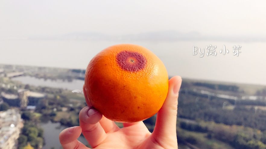 宝宝辅食：冬日烤橘—热乎乎的甜蜜，冬日里的小温暖！