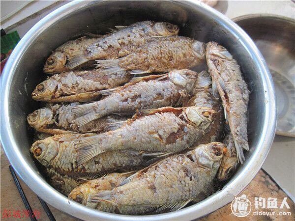 #舌尖上的鱼宴之五香糟鱼，有个故事#,将下好的鱼有序的码放在高压锅内胆里