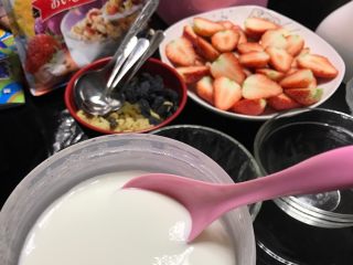 自制草莓酸奶,酸奶做好后，把配料准备齐
