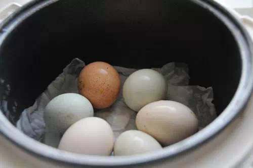 煮蛋,<a style='color:red;display:inline-block;' href='/shicai/ 9'>鸡蛋</a>洗干净码进锅里，盖盖、插电、按煮饭键