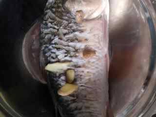 红烧剁椒鲫鱼,将鲫鱼身上切些小刀口，用盐抹上去，放几片姜在鱼肚子里去鱼腥味