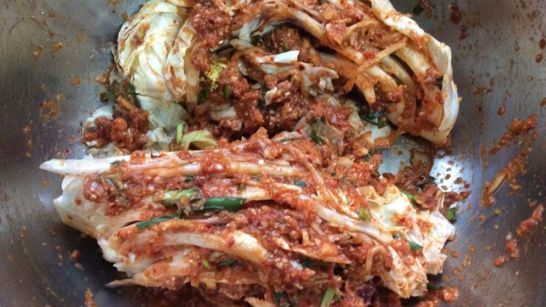 韩国辣白菜,控完水的菜放一个空盆里摸上料一层一层摸均匀。