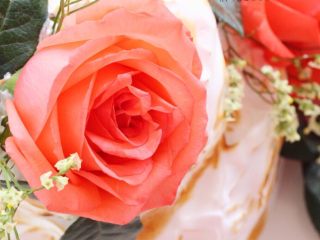 情人节系列一一鲜花蛋白霜蛋糕,含苞欲放的玫瑰花代表着情人