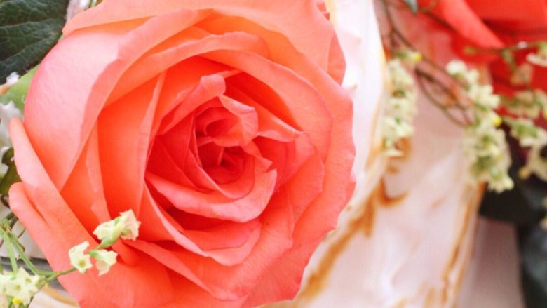 情人节系列一一鲜花蛋白霜蛋糕,含苞欲放的玫瑰花代表着情人