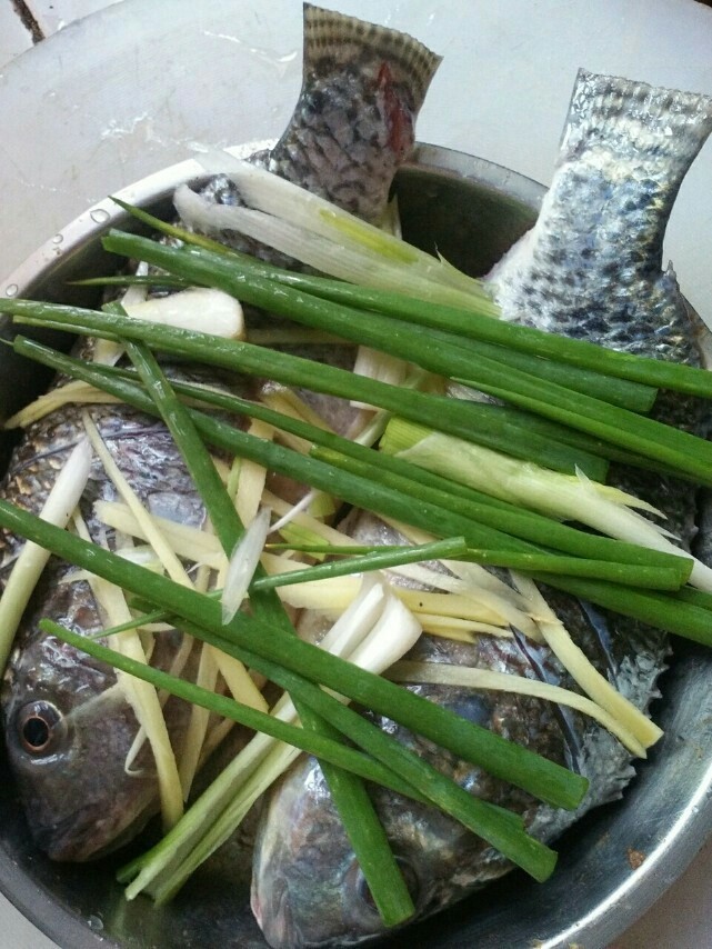 清蒸福寿鱼,鱼身鱼肚抹上一层盐，放姜丝，葱段铺在鱼上，准备蒸