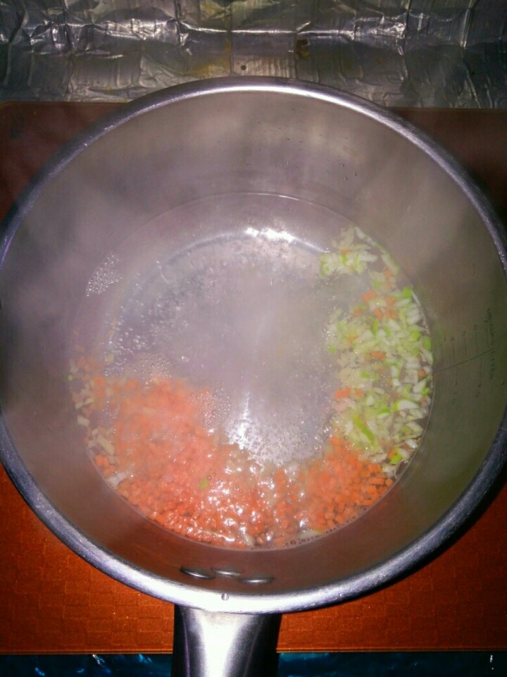 家常风味豆腐,锅内温水，放入葱、姜、胡萝卜。