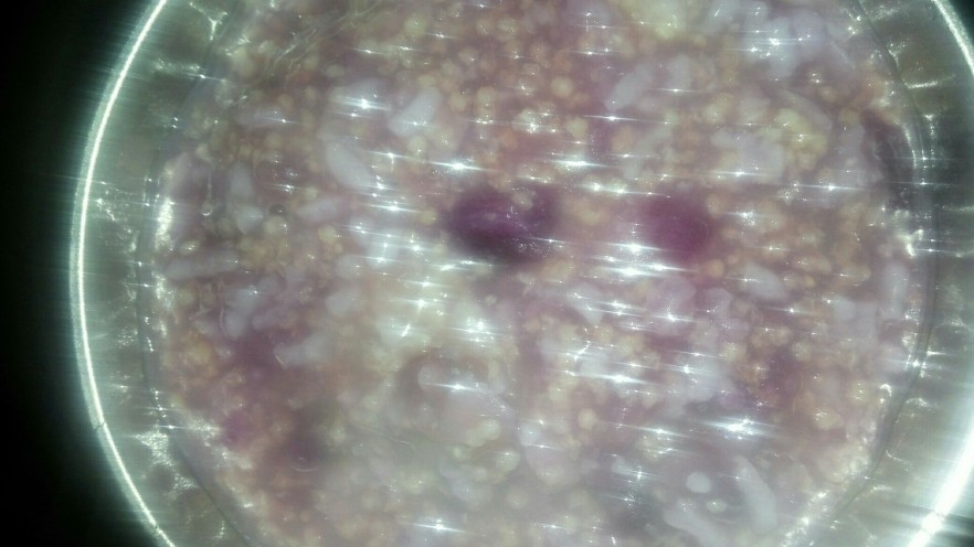 紫署小米粥
