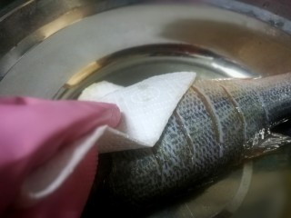锡纸包烤鲈鱼,这个时候鱼也腌制差不多了，拿出来用厨房纸巾吸干水分，没有的可以控干水后拍点粉，因为要下油煎如果有水会炸油哦