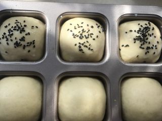 迷你小餐包,第二次发酵后表面涂上牛奶，再撒上黑芝麻。