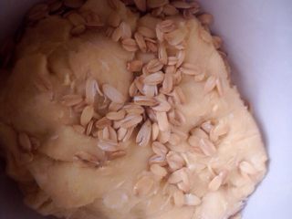 酸奶燕麦辫子面包,揉搓成面团，把燕麦片揉入面团，