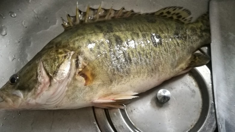 蔥油桂花魚 - 蔥油桂花魚做法,功效,食材 - 網上廚房