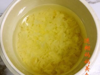 桃胶皂角米炖银耳,将银耳撕成小碎片，砂锅中放入足量的清水