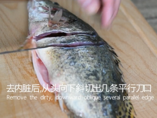 鲜上加鲜的做法——清蒸桂鱼,去内脏后，从头向下斜切出几条平行的刀口，只切单面