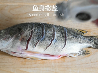 鲜上加鲜的做法——清蒸桂鱼,鱼身撒盐