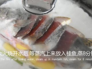 鲜上加鲜的做法——清蒸桂鱼,大火烧开热水，等蒸汽上来放入桂鱼蒸8分钟